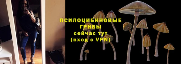 дурь Магадан