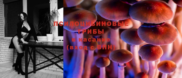 ECSTASY Магас