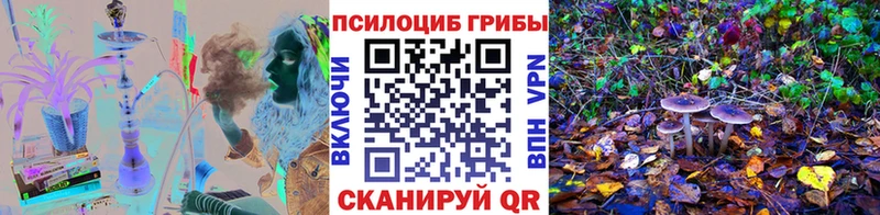 Купить закладки  Называевск  Галлюциногенные грибы Psilocybe 